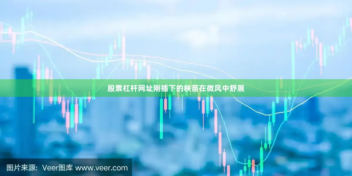 股票杠杆网址刚插下的秧苗在微风中舒展