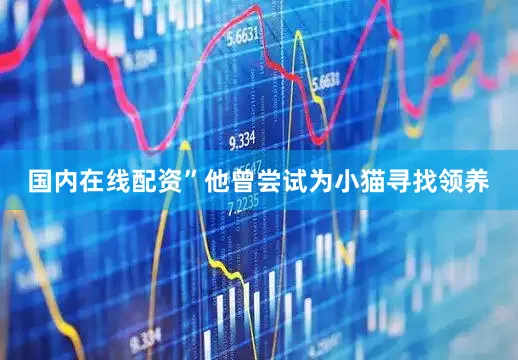 国内在线配资”他曾尝试为小猫寻找领养