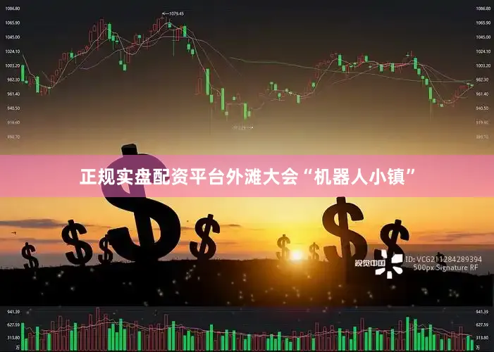 正规实盘配资平台外滩大会“机器人小镇”