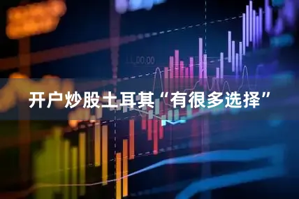开户炒股　　土耳其“有很多选择”