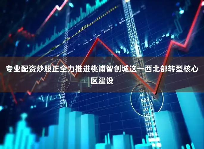 专业配资炒股正全力推进桃浦智创城这一西北部转型核心区建设